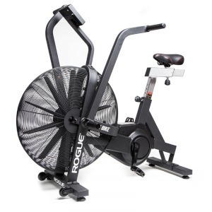Rogue Echo Bike