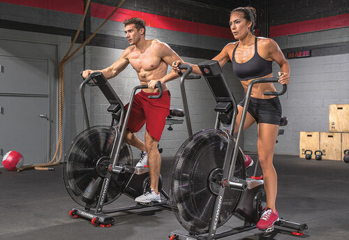 Rogue Echo vs Airdyne Pro - standing on the Airdyne
