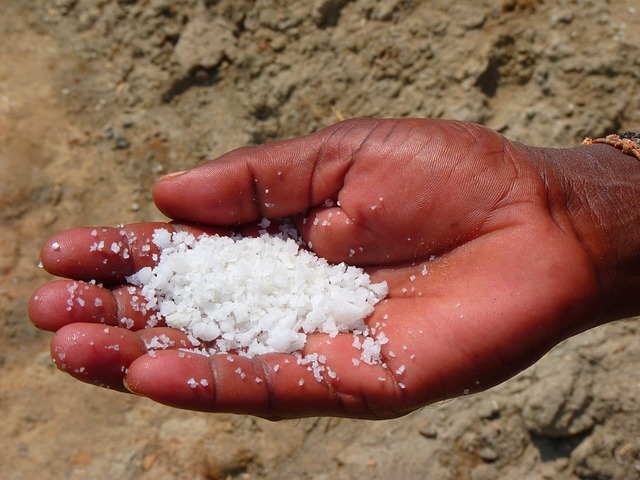 The Salt Fix Review - Salt in Hand