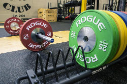 Rogue Competition Bumper Plates 250px